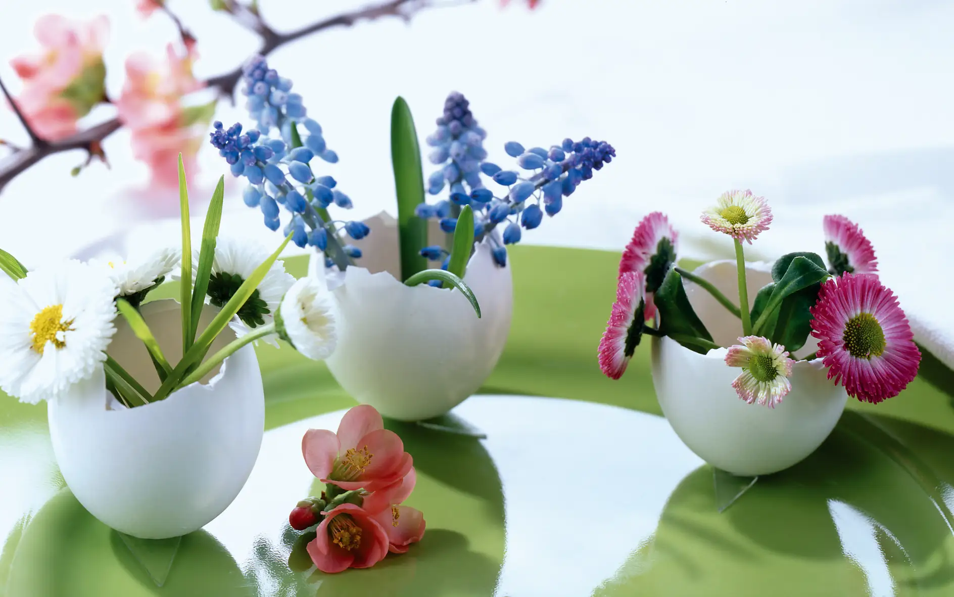 Und so geht’s: Jede Blumensorte bekommt ihre eigene kleine Eierschalen-Vase. Dazu vorsichtig drei weiße Eier im oberen Viertel aufschlagen und zu Mini-Vasen umfunktionieren – fertig.