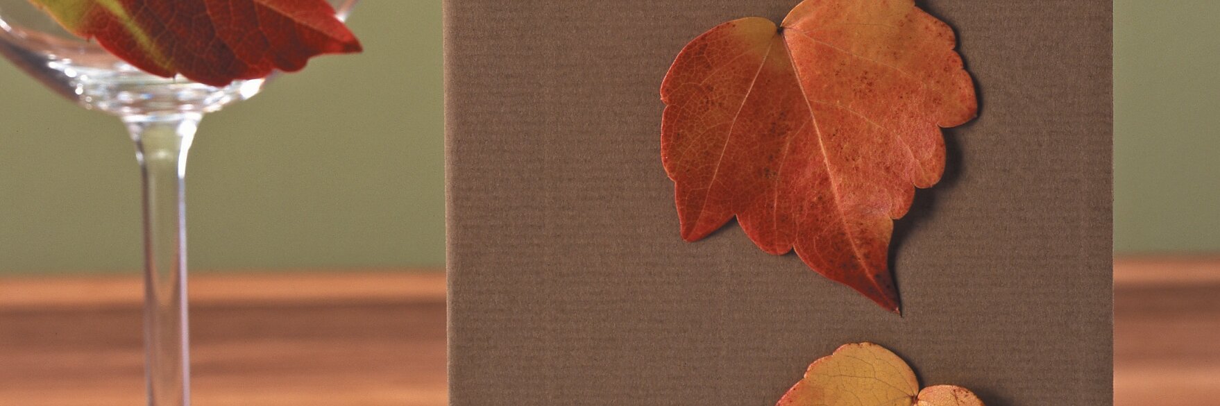 Een bruine menukaart met MENU onderaan, toont drie herfstbladeren, allemaal vastgemaakt met tesa tape. Het is op een wit bord gelegd. Een wijnglas bevat een rood blad met de naam Tina vastgemaakt met tesa tape. Een geel blad is met tesa tape aan de tafel bevestigd. De achtergrond is olijfgroen. (This text has been generated by AI)