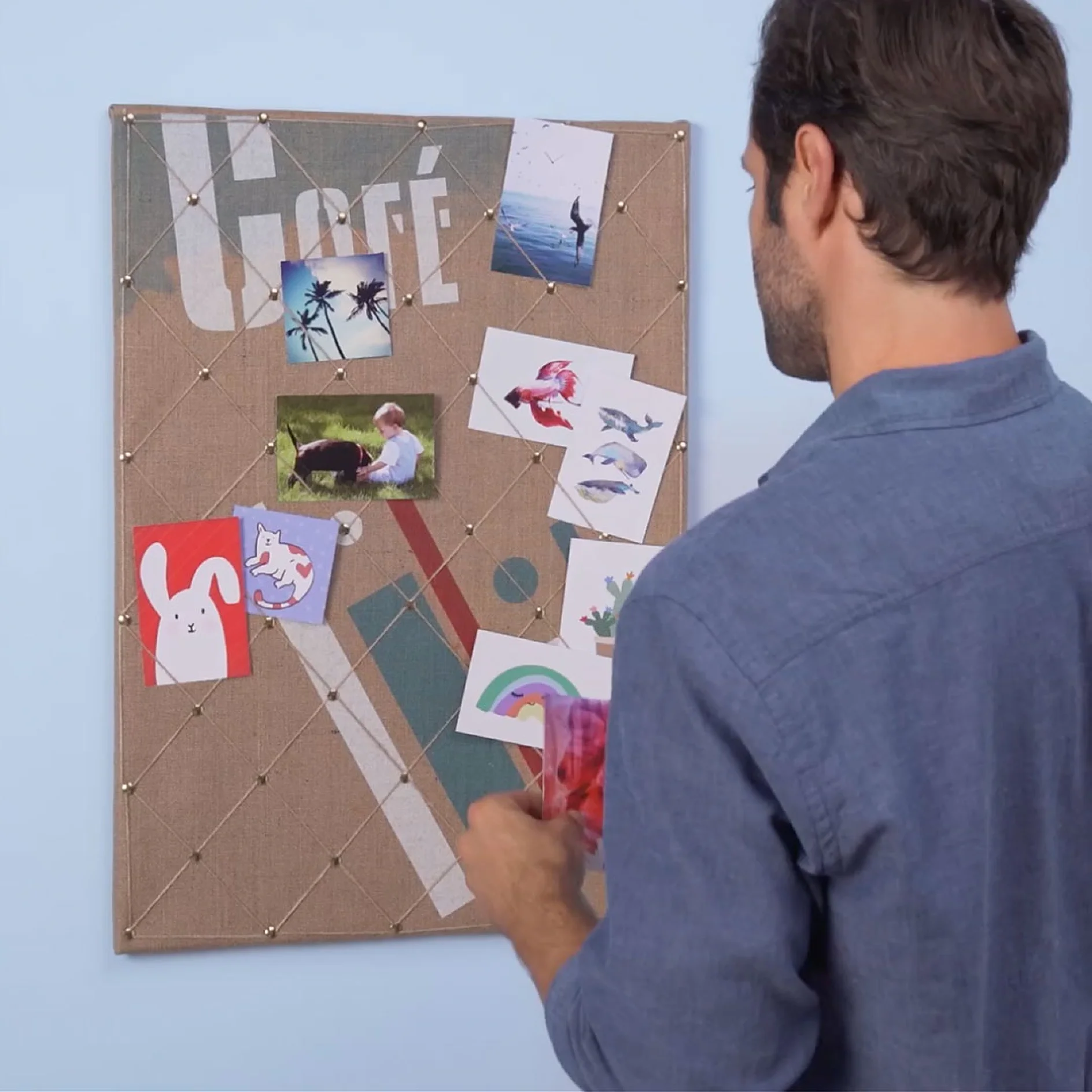 A man wearing a blue shirt stands in front of a bulletin board. The board displays various images, including a bunny, dolphins, and a rainbow, arranged over a large cutout with the word Café. He holds a pink item in his right hand, which is secured to the board using tesa tape. (This text has been generated by AI)