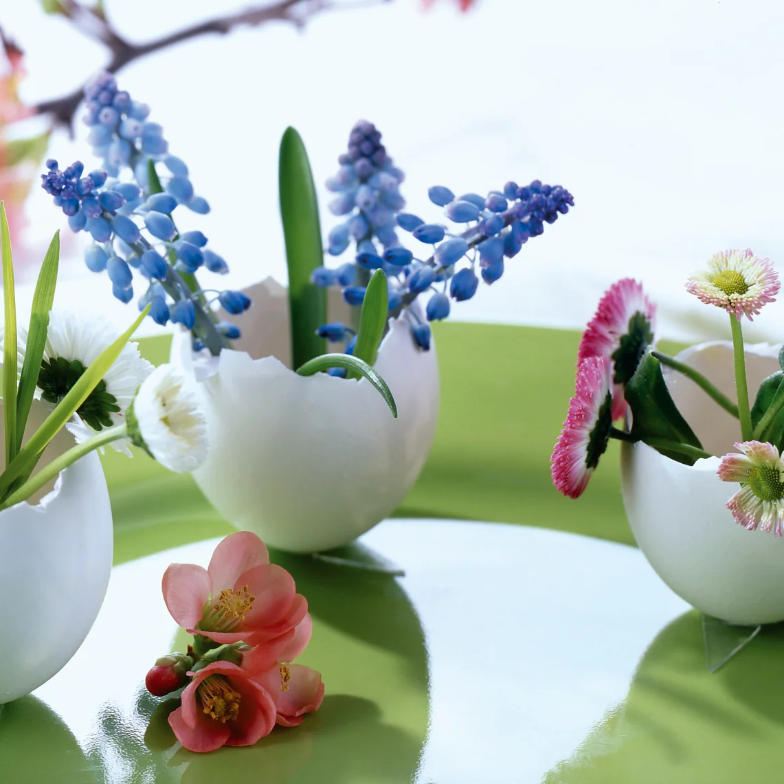 Und so geht’s: Jede Blumensorte bekommt ihre eigene kleine Eierschalen-Vase. Dazu vorsichtig drei weiße Eier im oberen Viertel aufschlagen und zu Mini-Vasen umfunktionieren – fertig.