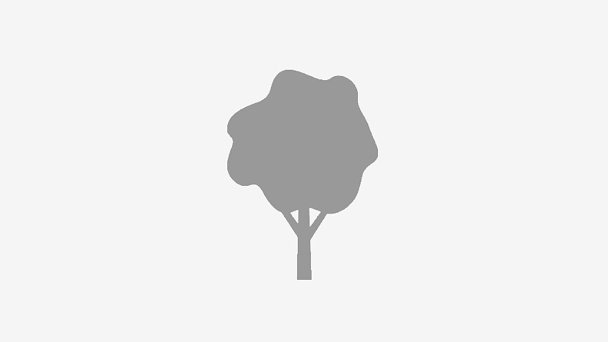 About tesa: responsibilty