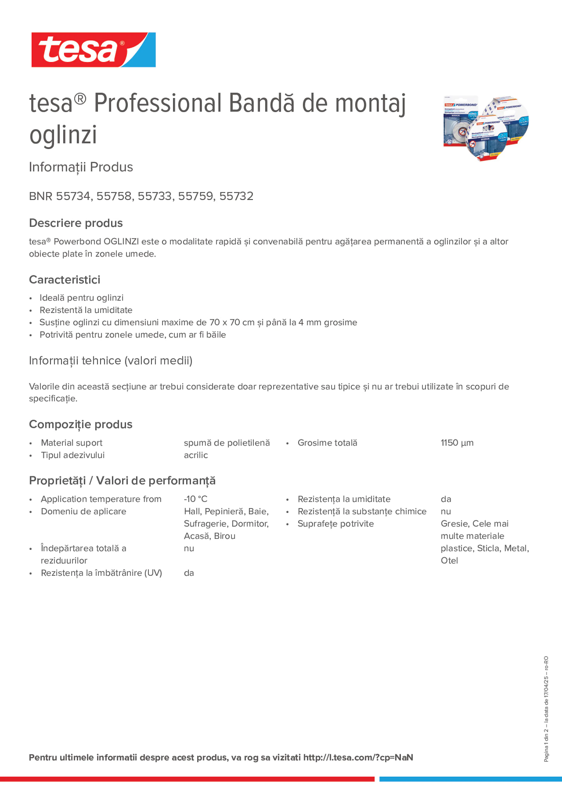 Product information_tesa® Professional 55733_ro-RO