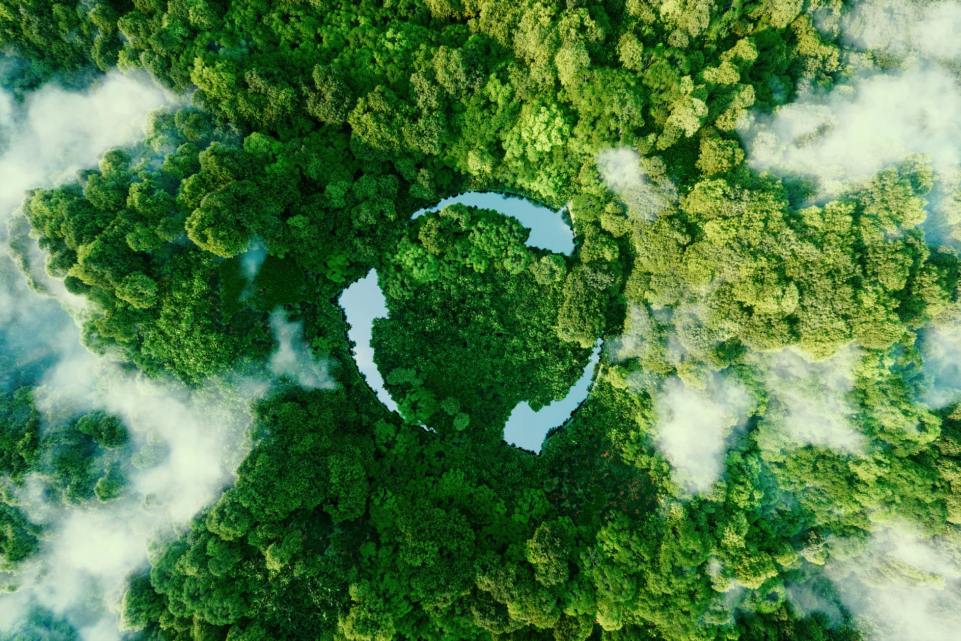 Aerial view of a lush green forest with thick tree canopy, partially obscured by scattered white clouds. A circular clearing in the center reveals patches of blue water, creating a striking contrast against the vivid greenery. (This text has been generated by AI)