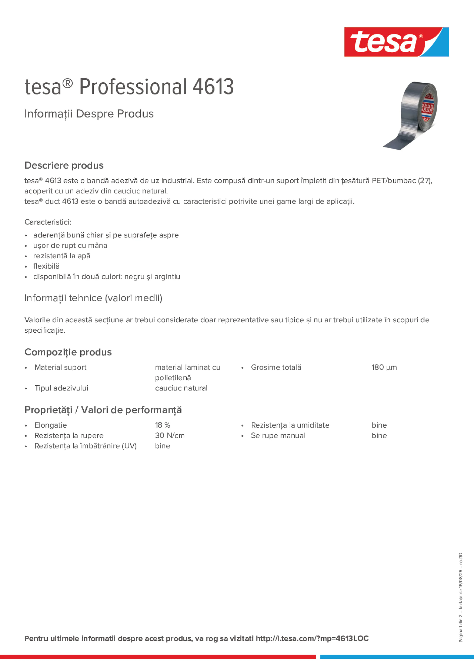 Product information_tesa® Professional 04613_ro-RO