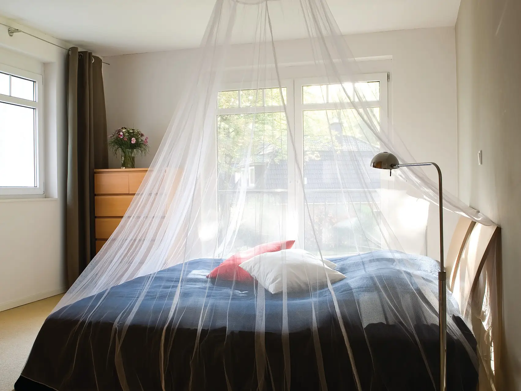 insect-mosquito-net_mood_001