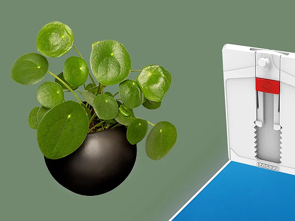 En Pilea peperomioides-växt med runda gröna blad i en svart kruka är till vänster. Till höger finns en förpackad tesa-tejpprodukt med röd och vit design på blå och grön bakgrund. (This text has been generated by AI)