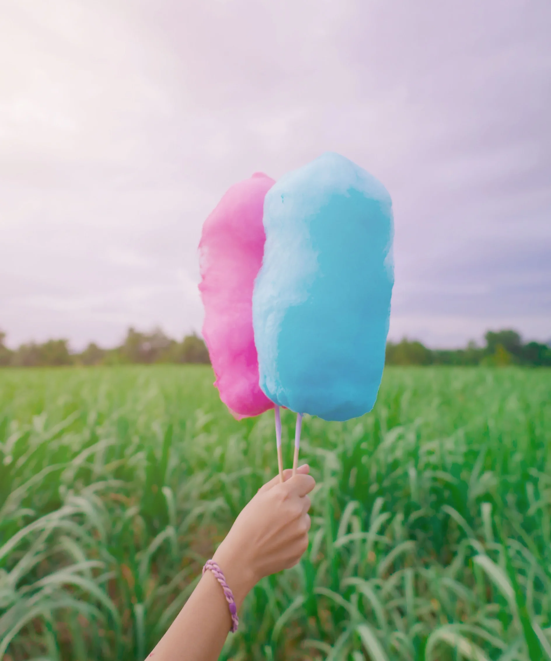 A hand holds two sticks of cotton candy, one pink and one blue, against a backdrop of a green field and a cloudy sky. The person is wearing a bracelet made with tesa tape on their wrist. (This text has been generated by AI)