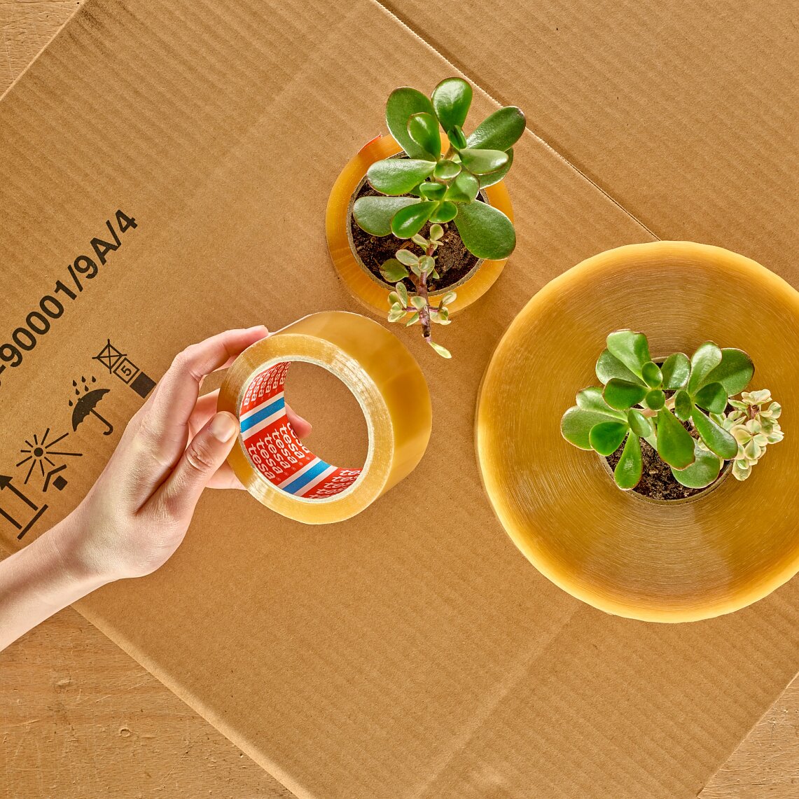 Mood Picture: tesa® 60400 Bio-Based Packaging Tape Mood Picture: tesa® 60400 Bio-Based Packaging Tape