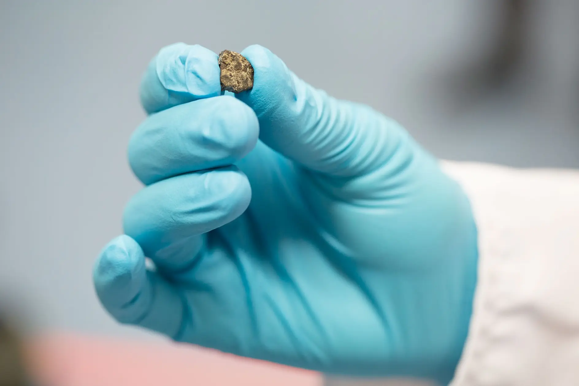 A gloved hand holds a small, dark, irregularly shaped object between the thumb and index finger. The glove is light blue, and the background is a soft, out-of-focus gray.
