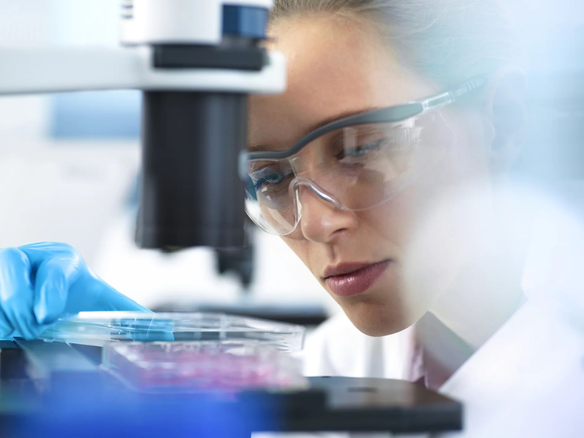 Cell Research, Scientist placing a multi well plate under the microscope ready to examine cells in the laboratory