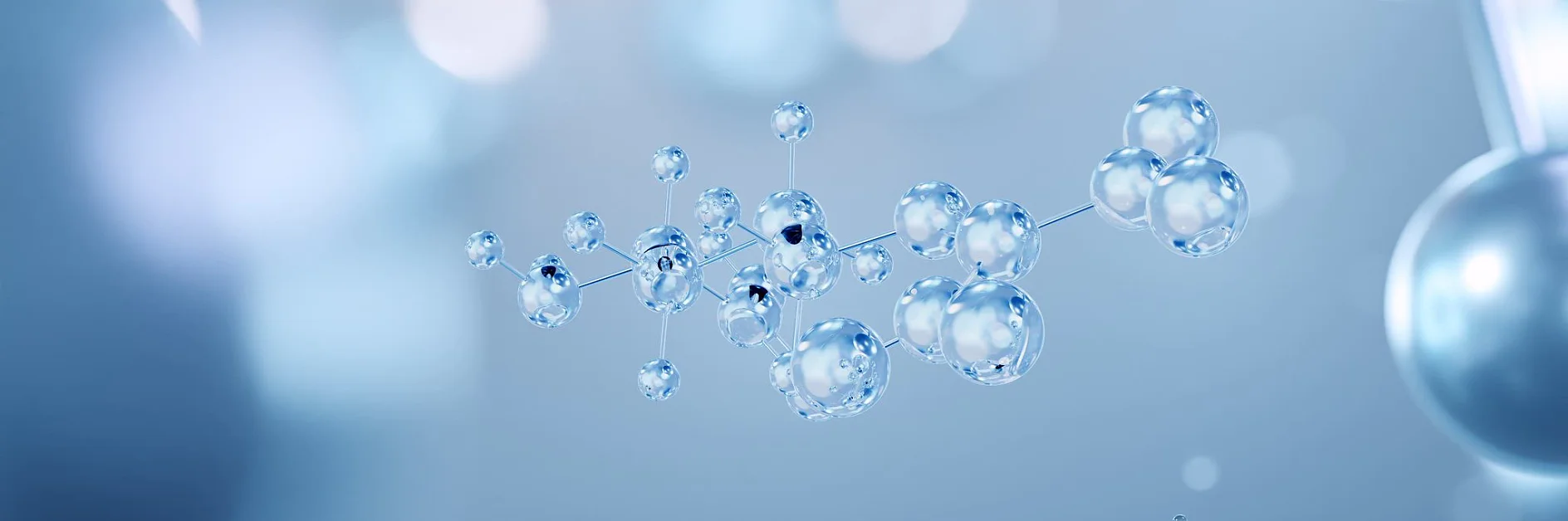 AdobeStock_652666733 (1)